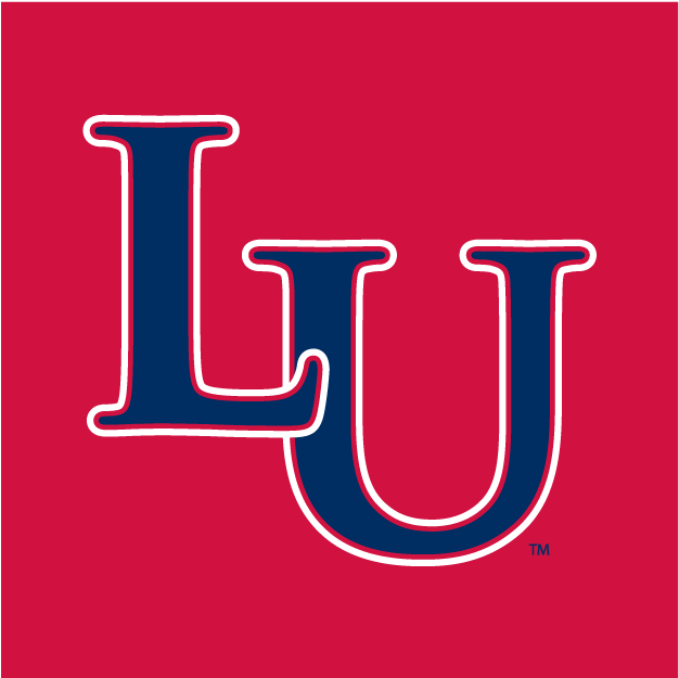 Liberty Flames 2004-2012 Alternate Logo v3 diy DTF decal sticker